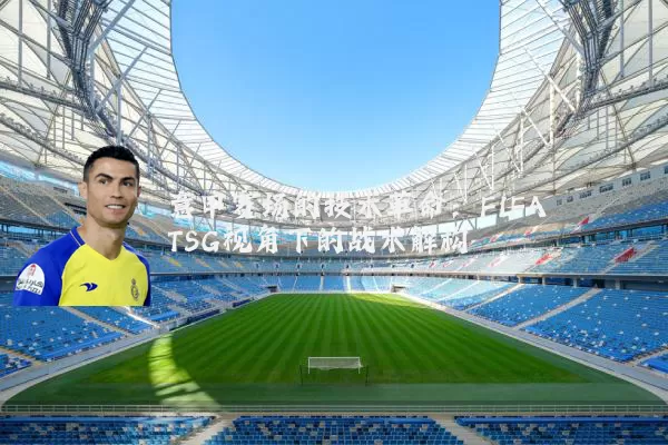 意甲赛场的技术革命：FIFA TSG视角下的战术解构